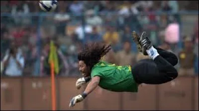 Comment s'appelle ce geste technique ?