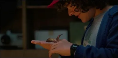 Comment s'appelle le mini-Demogorgon de Dustin ?