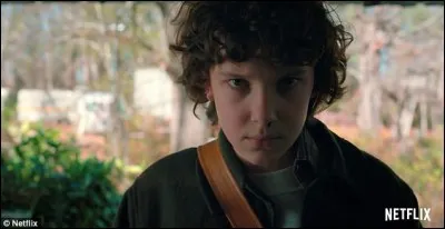 À la fin de la saison 2, qui adopte Eleven ?