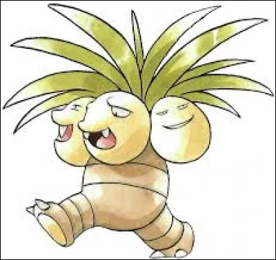 Quel est ce Pokémon ?