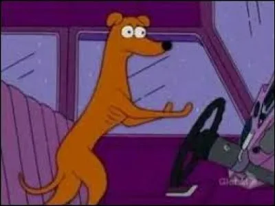 Comment s'appelle le chien ?