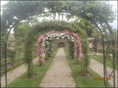 Egratignez la réponse !