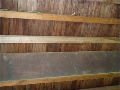 Trouvez le verbe adéquate !