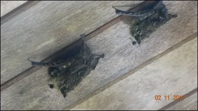 Je vous laisse toute latitude pour éviter l'obstacle que représente cette réponse !