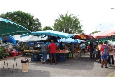 Approchez, approchez, elle est belle, elle est fraîche ma réponse !