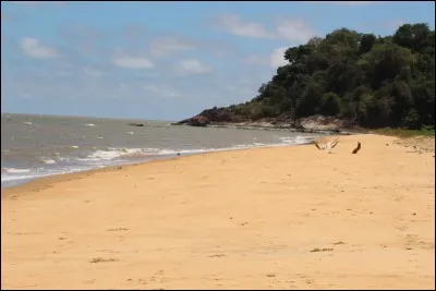 Pour trouver la bonne réponse, ne restez pas planté là comme un piquet !
