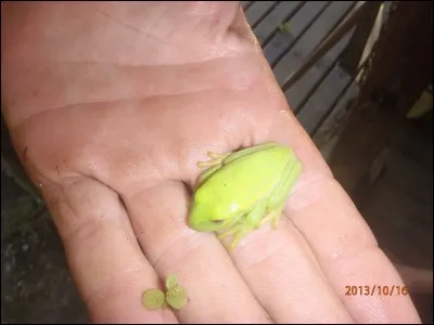 N'est pas princesse qui veut !