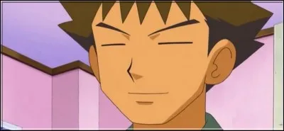 On ne présente plus le meilleur ami de Sacha dans "Pokémon". Il se prénomme :