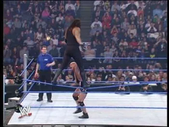 Comment s'appelle ce finisher ?