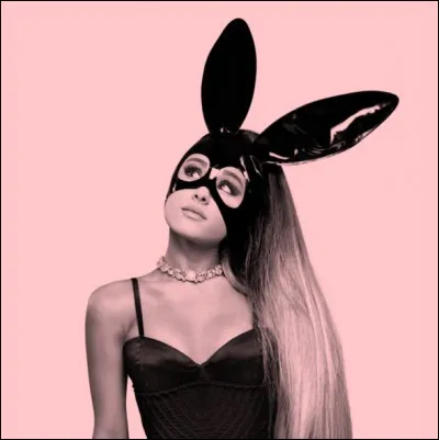 Comment s'est appelée la premiere tournée mondiale d'Ariana Grande ?