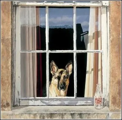 Voici un joli curieux à la fenêtre. Quel est le métier ?