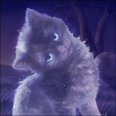 Qui sont les petits d'Etoile Bleue ?