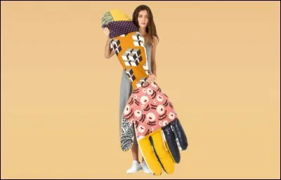 Cette "chose" est un coussin de confort. Avez-vous une idée du prix de cet objet pas facile à coordonner avec son intérieur ?