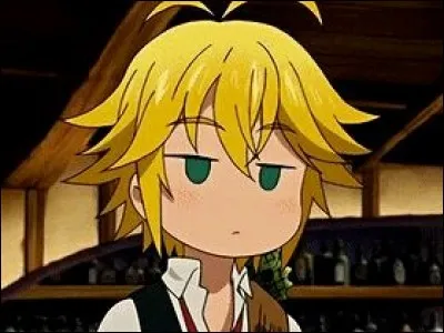 Dans le combat contre Gilthunder, Méliodas revoit des vision de quand il s'entraînait avec Gil ; Méliodas dit à un moment : "on sait déjà qui portera...