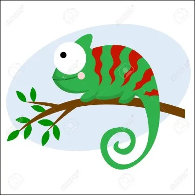 De quelle couleur est le caméléon de Quizz.biz ?