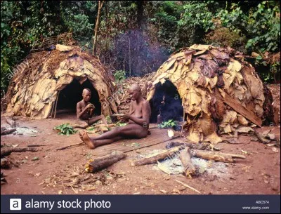 Méprisés, souvent détestés, spoliés, et pourquoi ? Tout simplement parce qu'ils sont plus petits que les autres humains !