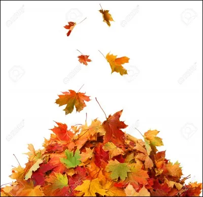 Mon premier est un animal qui vit dans les égouts 
Mon deuxième est le contraire de "tard" 
Mon tout rassemble des tas... (de feuilles ou d'autres choses)