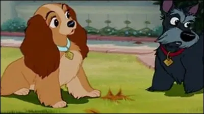 Comment s'appellent ses deux amis ?