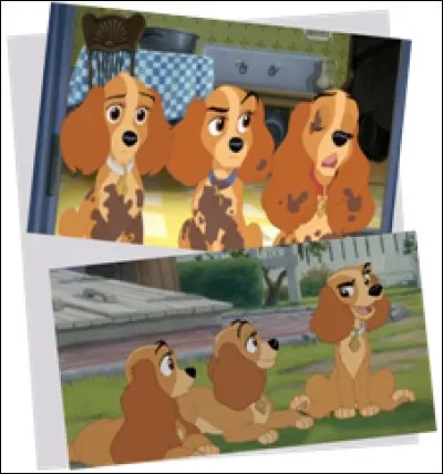 Comment s'appellent ses trois filles ?