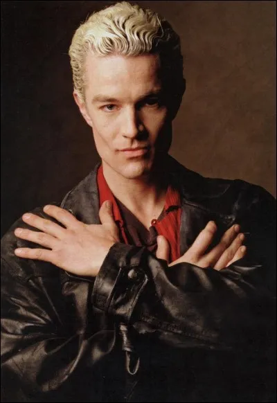 Quel est le nom de l'acteur qui joue Spike ?