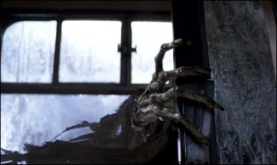 Cette main décharnée et griffue est tout à fait à éviter. A qui est-elle ?