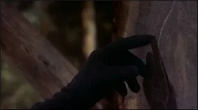 Cette main gantée de noir qui semble indiquer quelque chose est celle de... ?