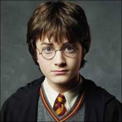 Comment s'appelle (nom de famille) la famille Moldue d'Harry Potter ?