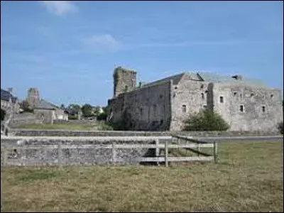 Vous avez sur cette image l'&eacute;glise (&agrave; gauche) et le ch&acirc;teau (&agrave; droite) de Regn&eacute;ville-sur-Mer. Commune Manchote, elle se situe dans l'ancienne r&eacute;gion ...