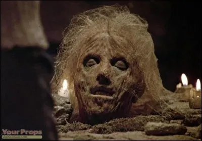 Pour quelle raison Jason Voorhees est-il devenu un tueur en série ?