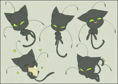 Comment s'appelle le kwami de Chat noir ?