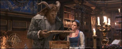 Où va Belle avec le livre magique ?