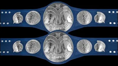 Quels sont les champions par équipe de Smackdown ?