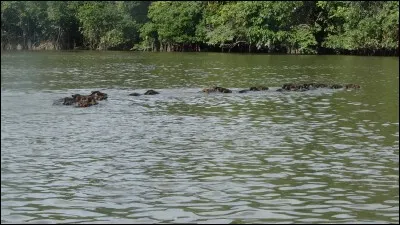 Décisif, catégorique, qui ne supporte pas la contradiction !