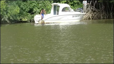Saint fêté en Irlande !