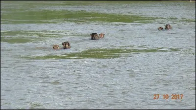 Qui dure depuis longtemps !