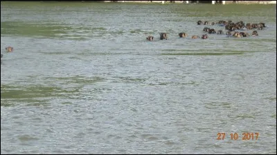 Expédition, randonnée, voyage !