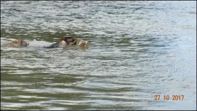 Toute votre vie, vous avez fait le bien autour de vous, vous êtes vraiment un ... de vertu !