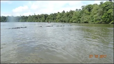 Synonyme de serpillère !