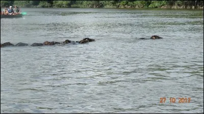 Dans la mythologie grecque, il fut le fils de Ménoeti, l'époux de Sthénélé et l'ami d'Achille !