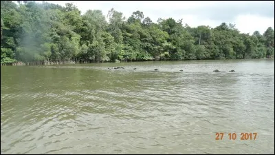 Sketch de Raymond Devos : Le ... du percepteur !