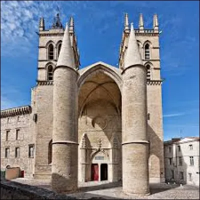Dans cette ville se trouve la cathédrale Saint-Pierre, il s'agit de...