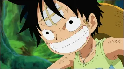 Où Luffy est-il né ?