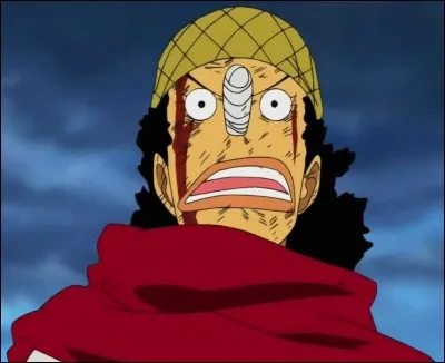 S'il vivait dans le vrai monde quelle nationalité aurait Usopp ?