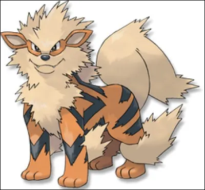 Qui en a déjà eu un ?