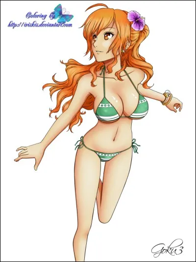 Quel rôle occupe Nami dans l'équipe ?