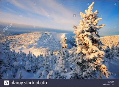 Quelle est la deuxième plus haute montagne d'Amérique du Nord ?
