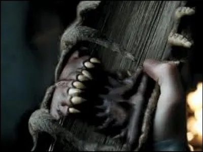 Qui est donc le professeur de Poudlard qui a recommandé aux élèves ce livre à l'apparence pour le moins répugnante ?