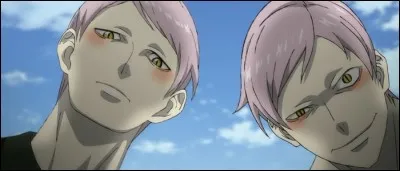 Lequel des deux est le combattant du serpent ?