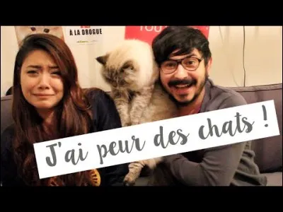 Peur des chats.