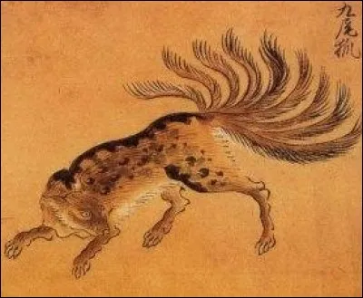 Chat à neuf queues.